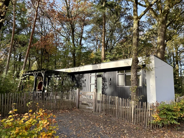 DG1564