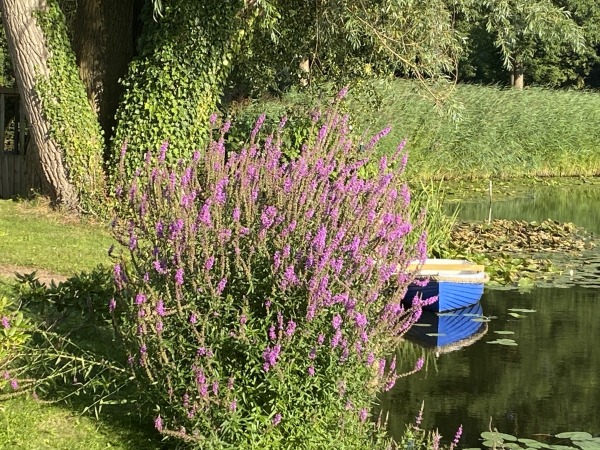 Vakantiehuis Bad-Nieuweschans