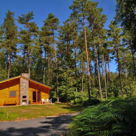 Luxus Ferienhaus für 8 Personen in der Mitte des Waldes der Ardennes.