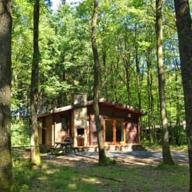 Frei stehendes Ferienhaus für 6 Personen in der Mitte des Waldes der A...