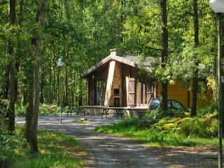 Geschaltete Ferienhaus für 6 Personen in der Mitte des Waldes der Arde...