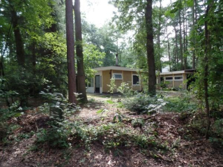 Leuke 4 persoons bungalow op rustige locatie in het bos in Drenthe
