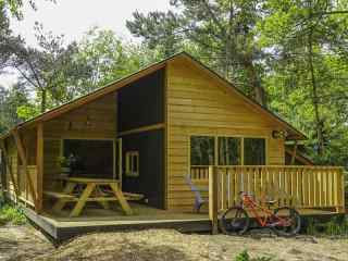 10 persons group accommodation with 5 bedrooms on holiday park Ruinen