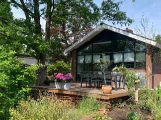 Wonderfully located 6 person private holiday home near Aalten | back c...