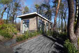 Tiny House voor 4 personen op vakantiepark de Rimboe in Hoenderloo op...