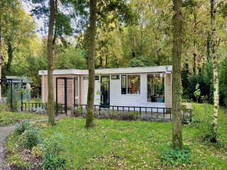 Detached 4 person vacation bungalow in the woods in Drenthe