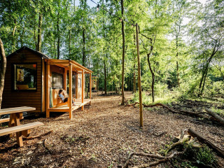 Luxury 4-person Tiny House in Drenthe near the Drents-Friese Wold Nati...