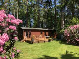 Cosy 4-person chalet with terrace in the woods near Lochem