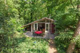 Uniquely located 4 person forest house on the edge of the Veluwe