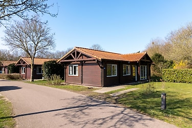 Nice 6 person holiday home (loghome) on the Veluwe