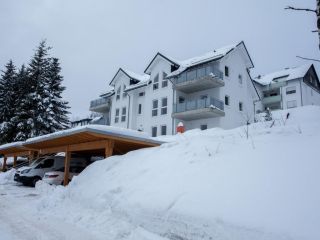 Luxury 8-person holiday apartment in Winterberg