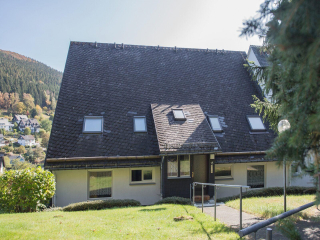Leuk 4 persoons appartement in Silbach nabij Winterberg