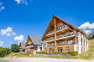 Luxe 4-6 persoons appartement in groot skigebied