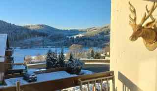 Luxurious and large 4-person apartment near Winterberg