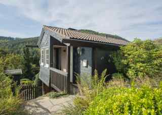 Prachtig 6 persoons vakantiehuis met sauna nabij Winterberg