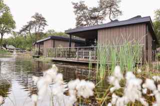 Luxuriöse Eco-Lodge für sechs Personen auf dem Utrechtse Heuvelrug
