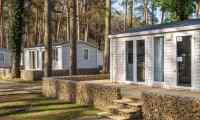 Compact 6 person holiday home in the middle of a Belgian pine forest