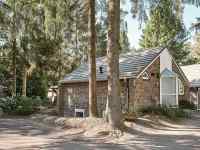 Sfeervolle 6-persoons bungalow op Vakantiepark De Bosrand midden op de...