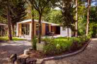 Modern 6-person holiday home on holiday park Uddelermeer on the Veluwe