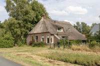 dg345