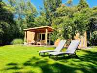 Beautiful 4 person forest house with a lovely garden Drenthe
