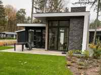 Luxurious 4-person holiday home with air conditioning in the Veluwe ne...