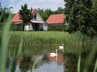 Luxuriöses Ferienhaus für 6 Personen an den Maasplassen in der Nähe vo...