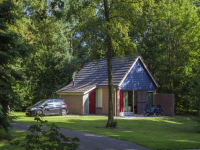 Beautiful 4 person holiday home on the Sallandshoeve in Salland