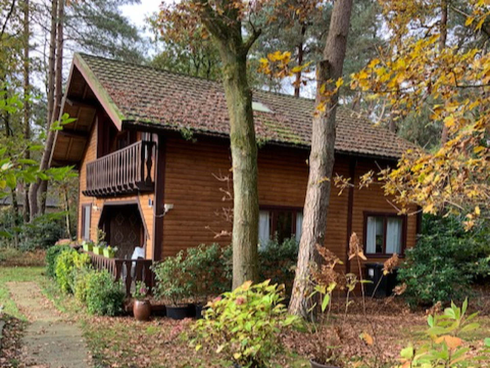 Sfeervol 2-persoons chalet met een ruime tuin midden in het bos in Essen, België - Belgie - Europa - Essen