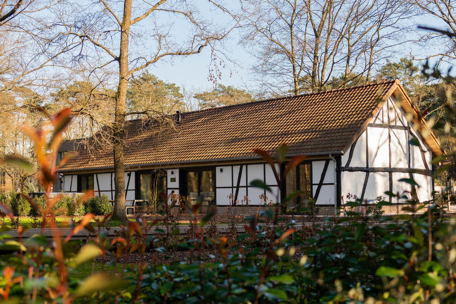8 persoons rolstoelvriendelijke lodge gelegen aan de bo