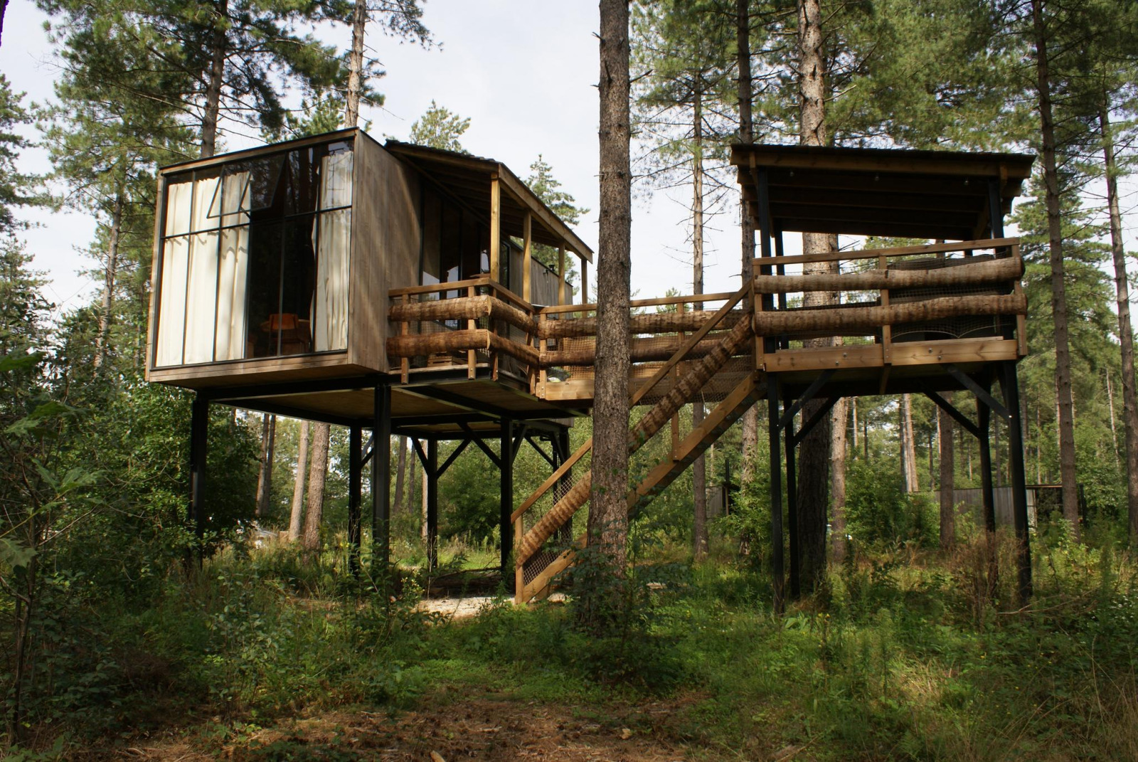 Boomhut voor 4 personen met hottub op bosrijk vakantiepark in België