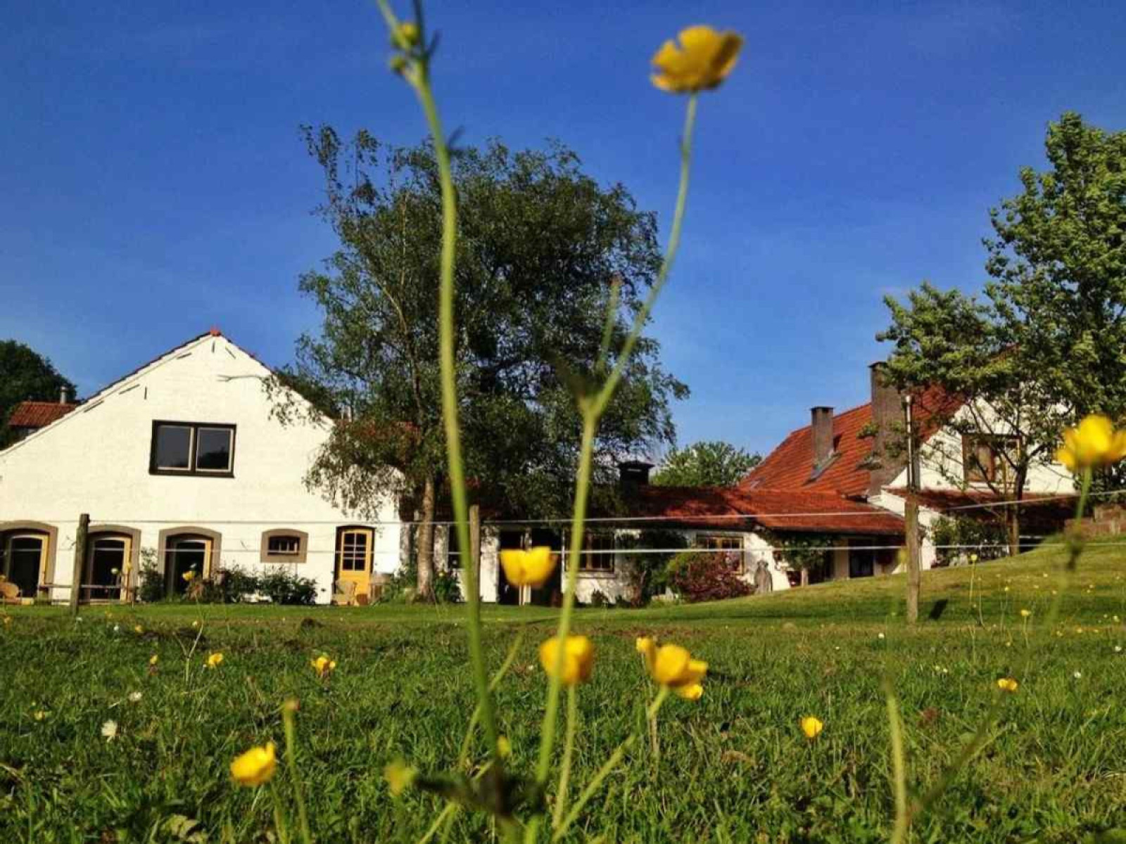 prachtig-gelegen-2-persoons-boerderij-appartement-in-noord-brabant