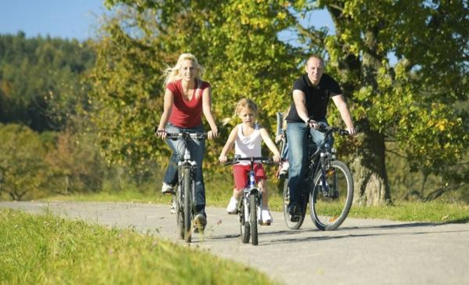 leuke-4-persoons-bungalow-op-rustige-locatie-in-het-bos-in-drenthe