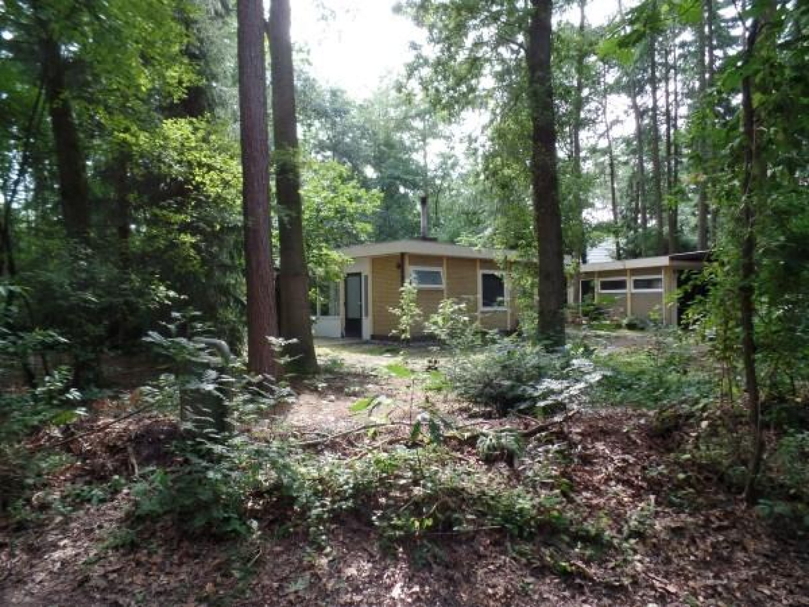 Leuke 4 persoons bungalow op rustige locatie in het bos
