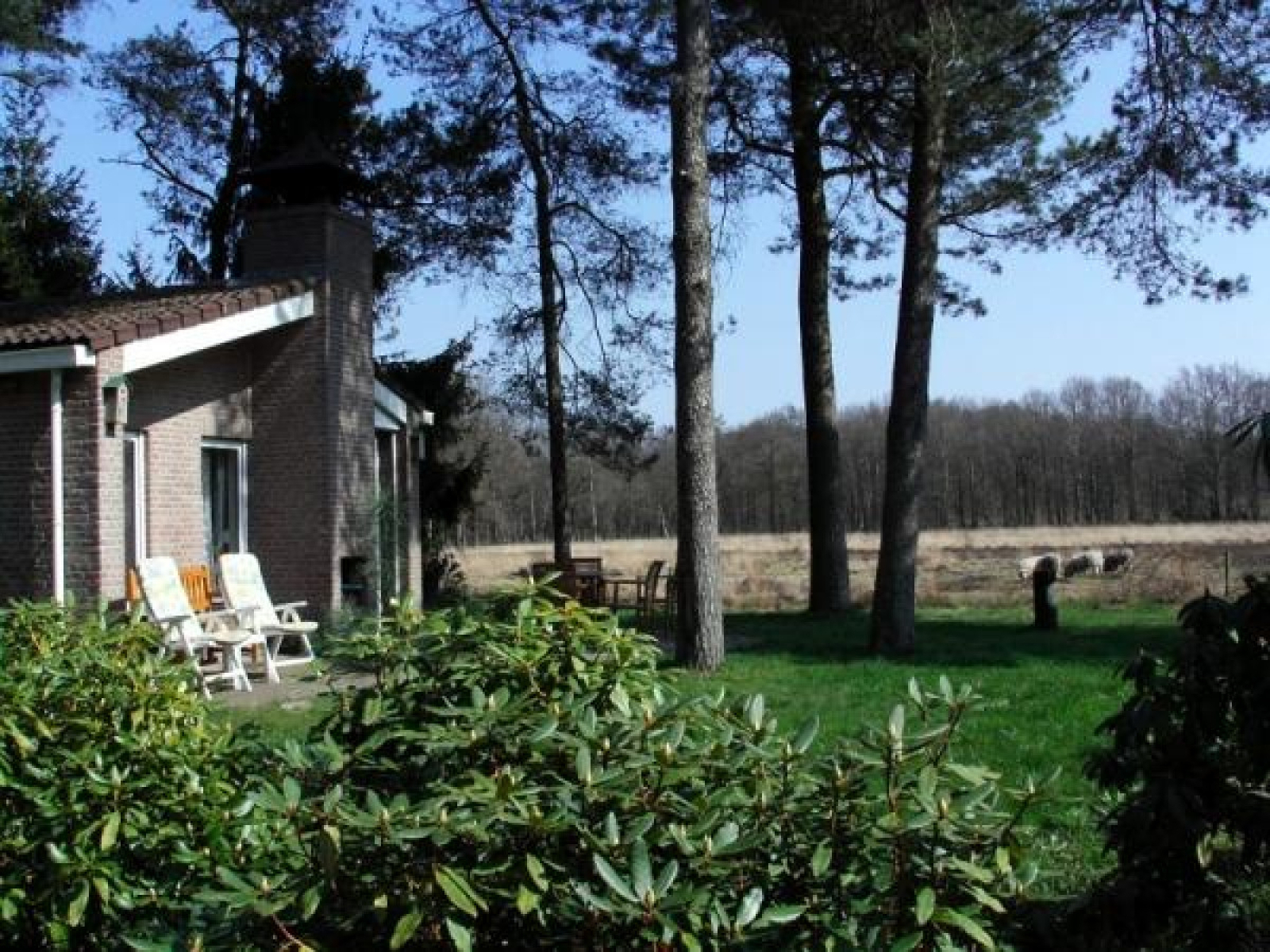 sfeervolle-6-persoons-bungalow-met-open-haard-in-prachtig-natuurgebied