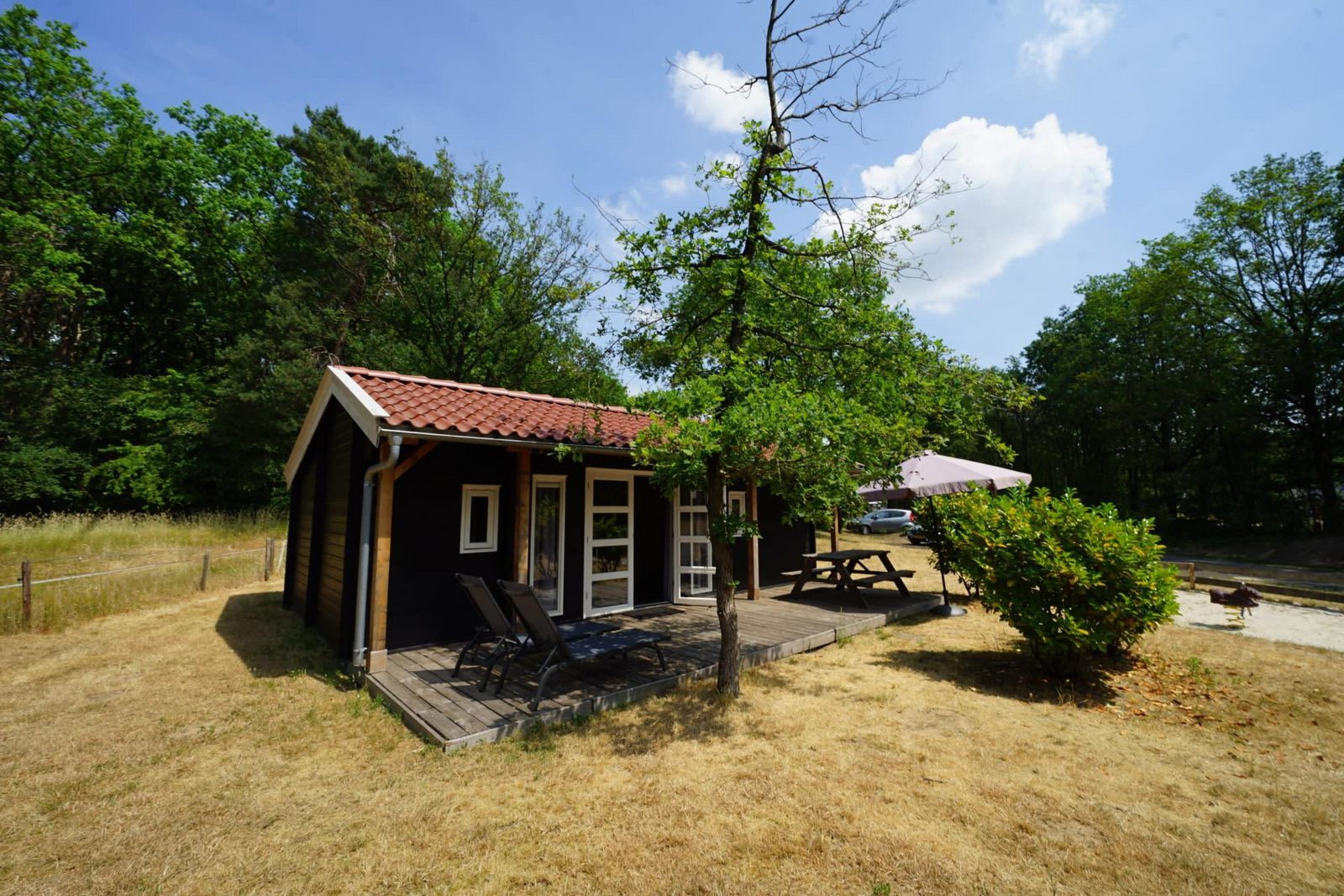 Gelijkvloers vakantiehuis voor 4 personen op vakantiepark Ruinen.