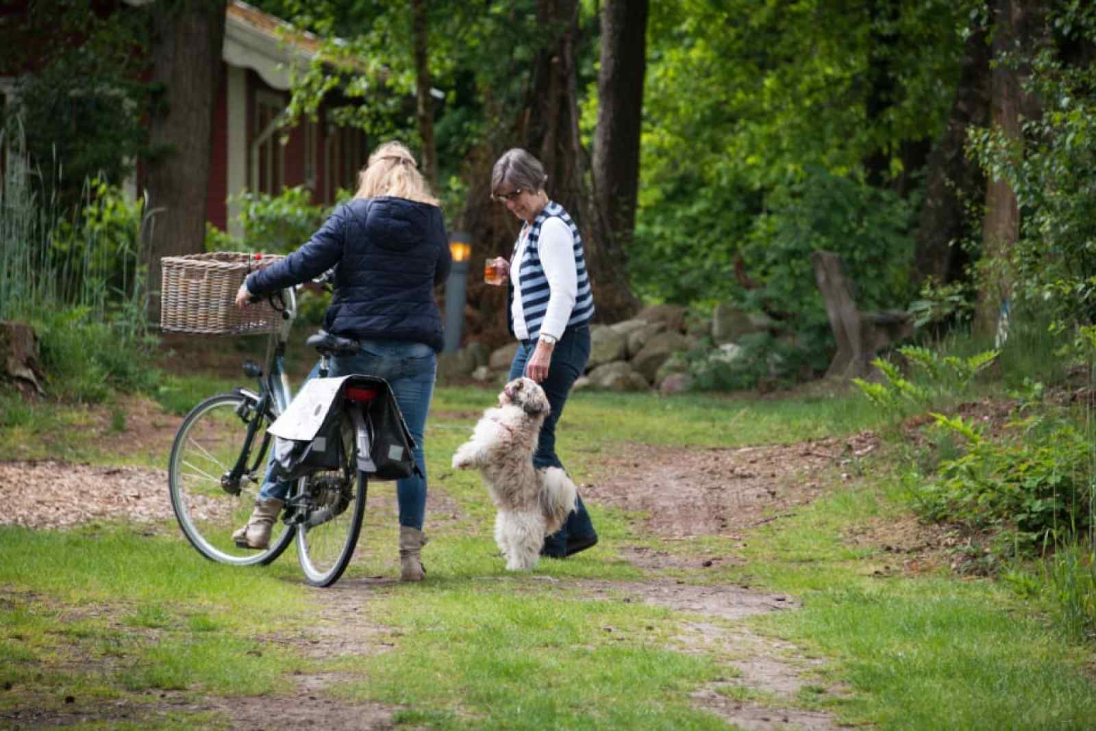 een-4-persoons-chalet-tussen-de-groene-omgeving-van-park-de-wiltzangh