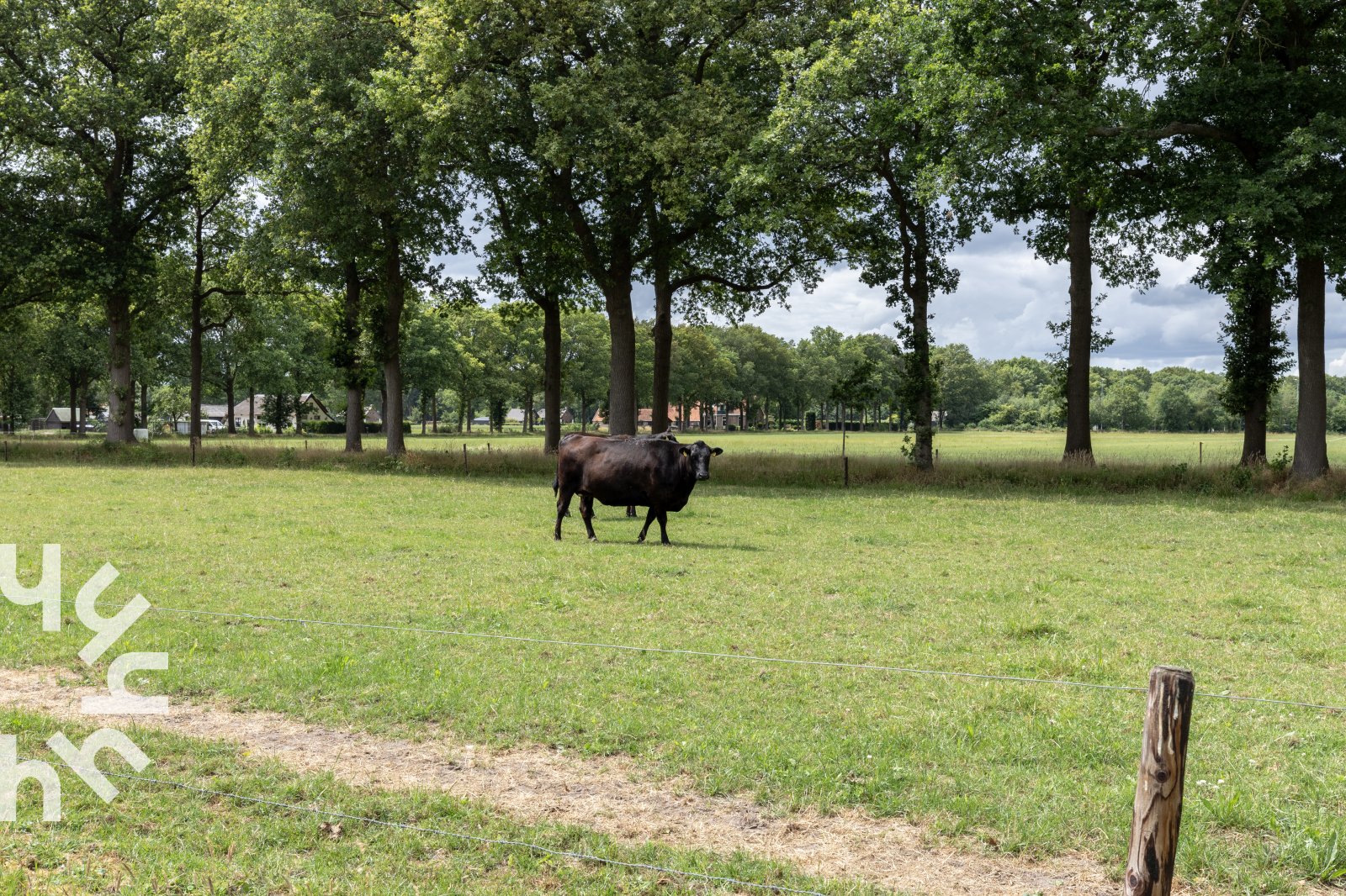 heerlijk-gelegen-4-persoons-boerderijappartement-nabij-frederiksoord-drenthe