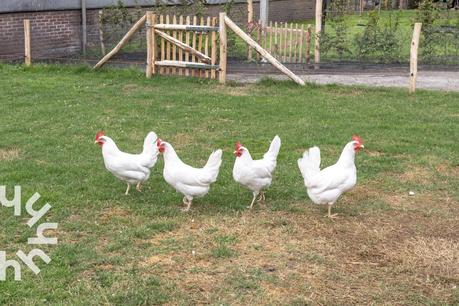 heerlijk-gelegen-4-persoons-boerderijappartement-nabij-frederiksoord-drenthe