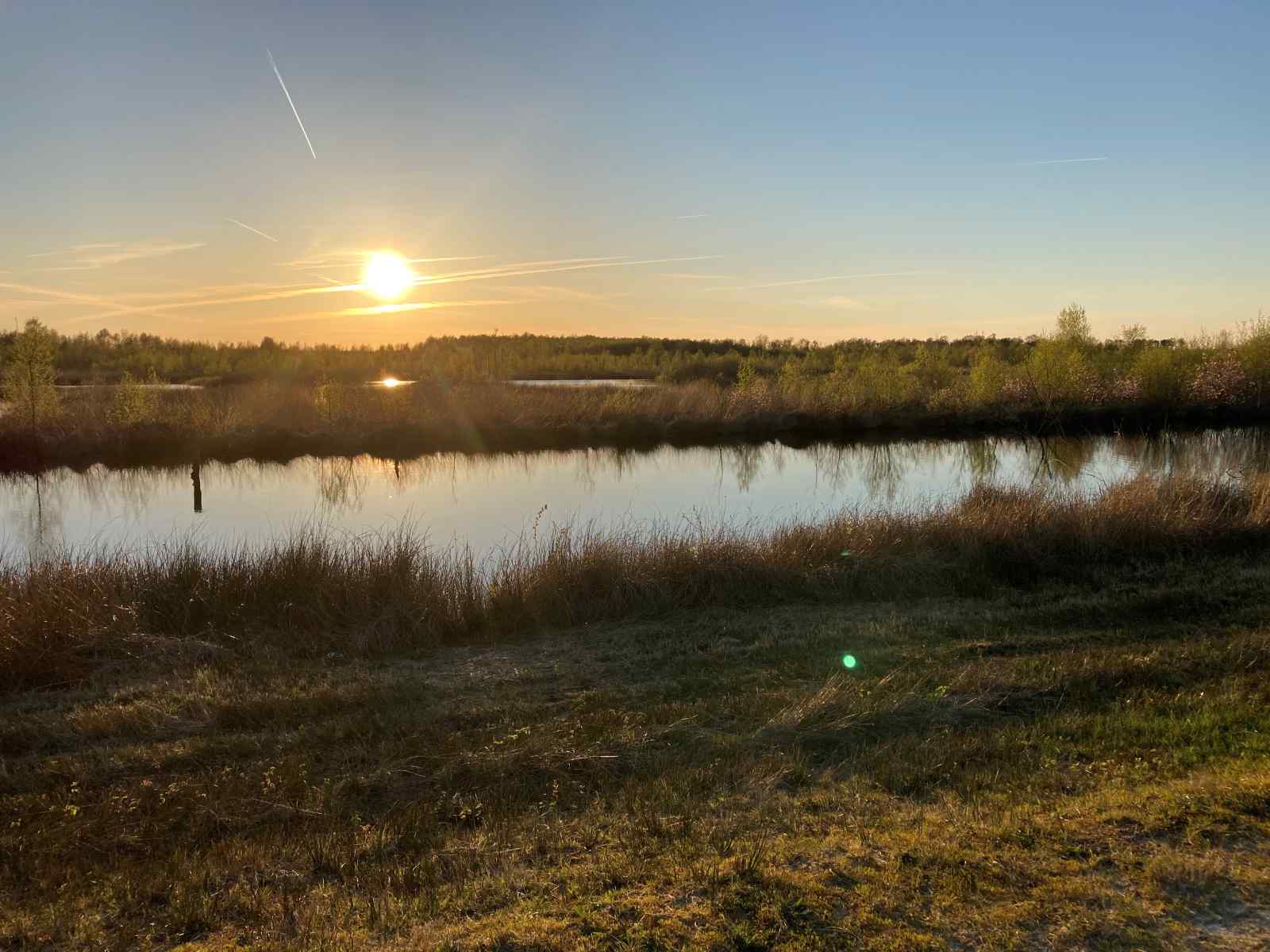 uniek-4-persoons-vakantiehuis-tussen-de-bomen-met-weids-uitzicht-in-erica-drenthe