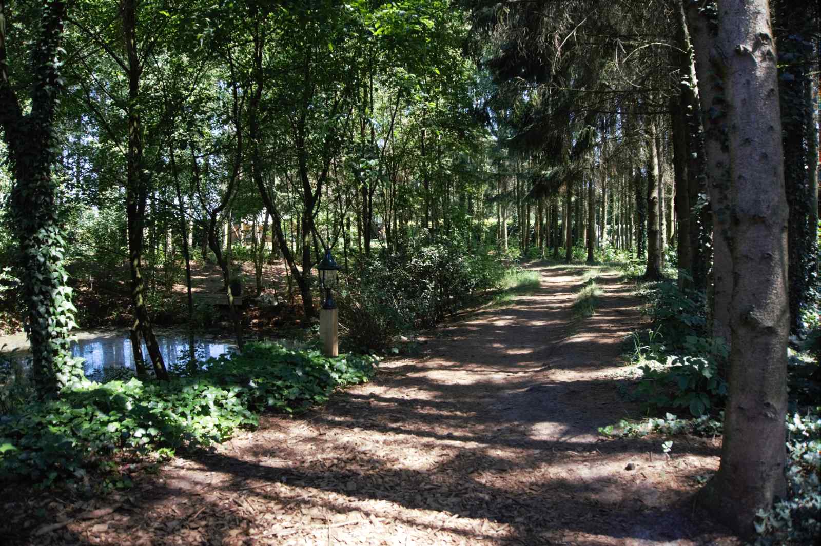 uniek-4-persoons-vakantiehuis-tussen-de-bomen-met-weids-uitzicht-in-erica-drenthe