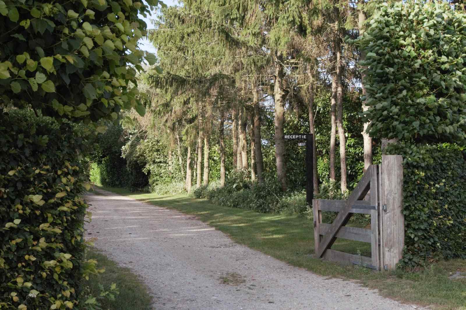 uniek-4-persoons-vakantiehuis-tussen-de-bomen-met-weids-uitzicht-in-erica-drenthe