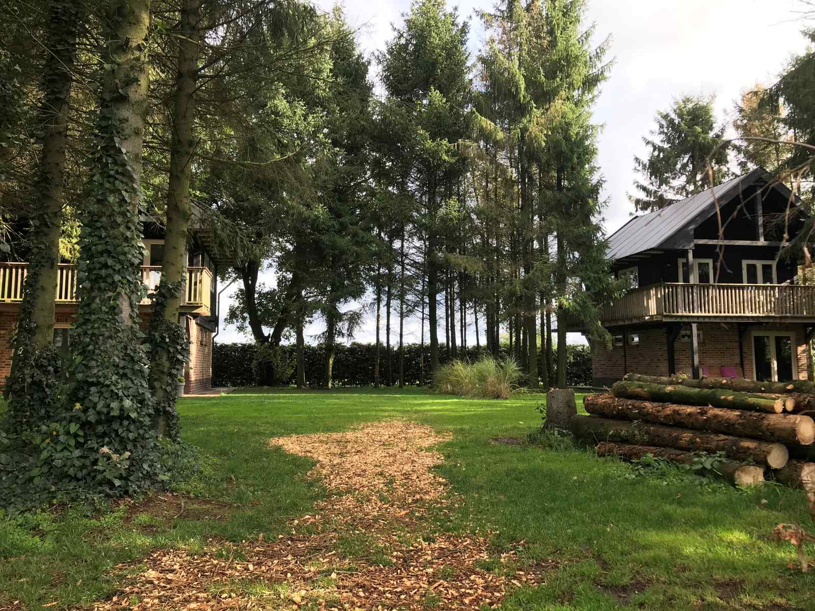 prachtig-4-persoons-vakantiehuis-tussen-de-bomen-met-weids-uitzicht-in-erica-drenthe