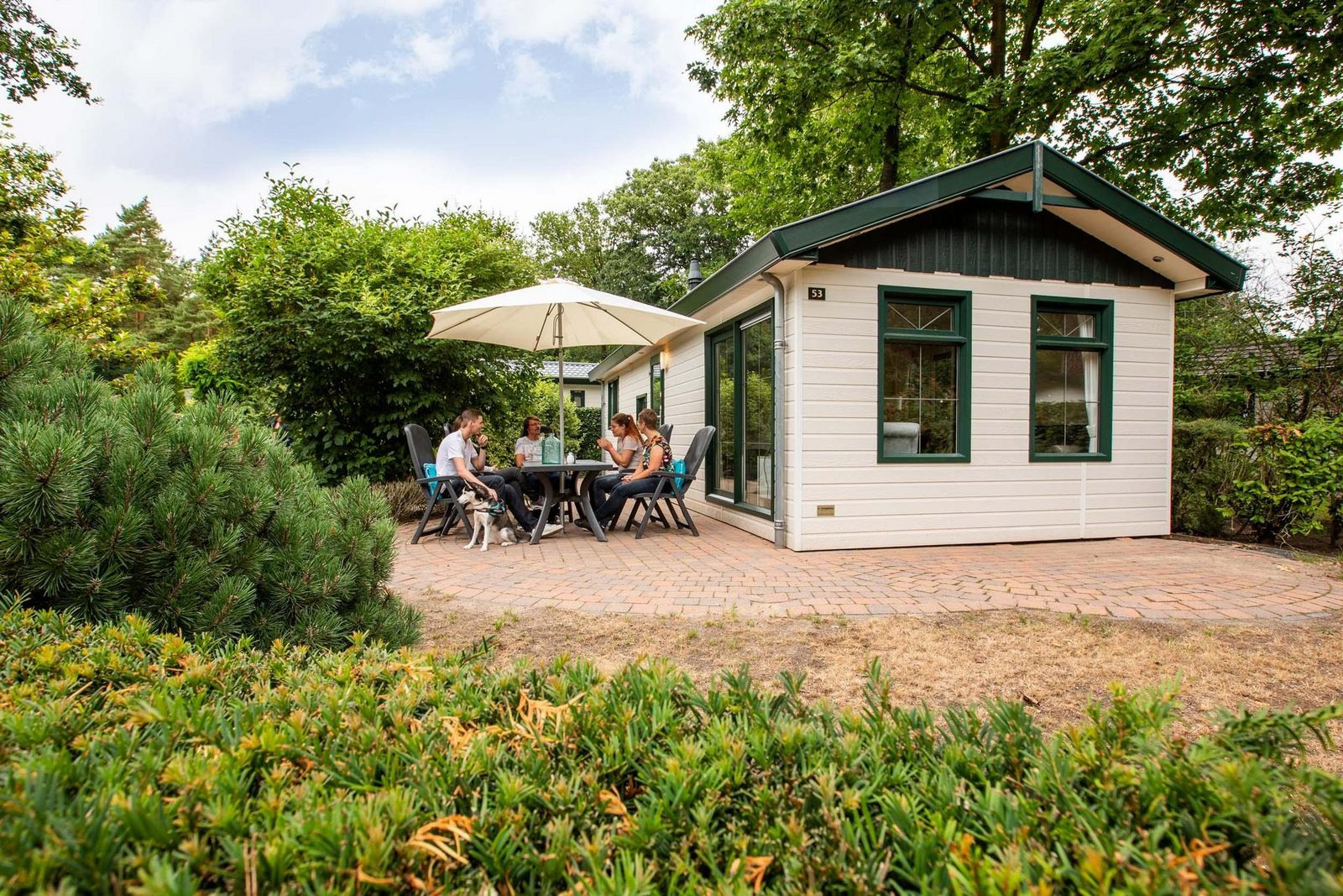 Mooi 4 persoons vakantiehuis op een vakantiepark op de Veluwe - Nederland - Europa - Ede