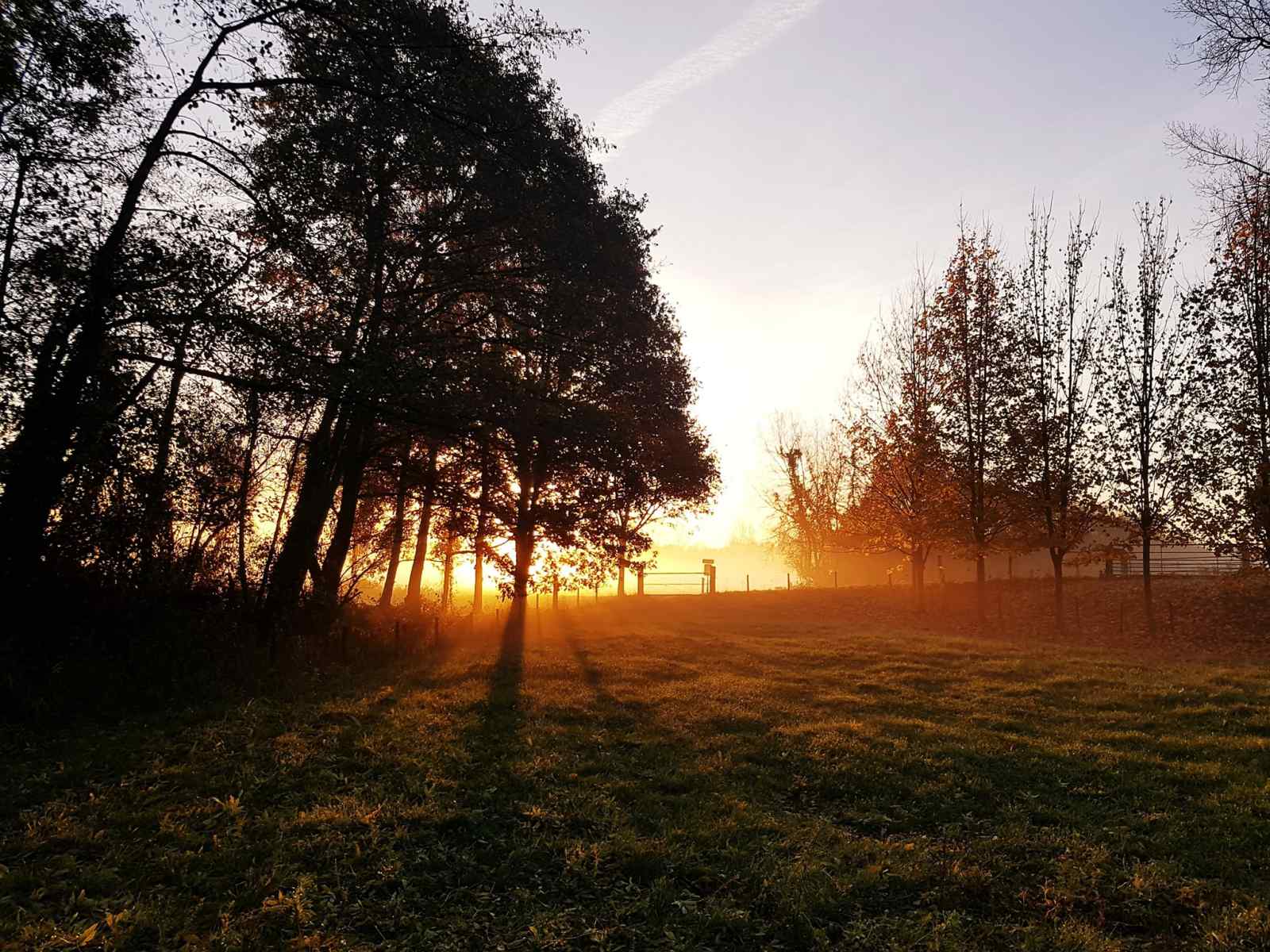 sfeervol-4-persoons-vakantiehuis-gelijkvloers-met-ligbad-en-grote-tuin-in-aalten