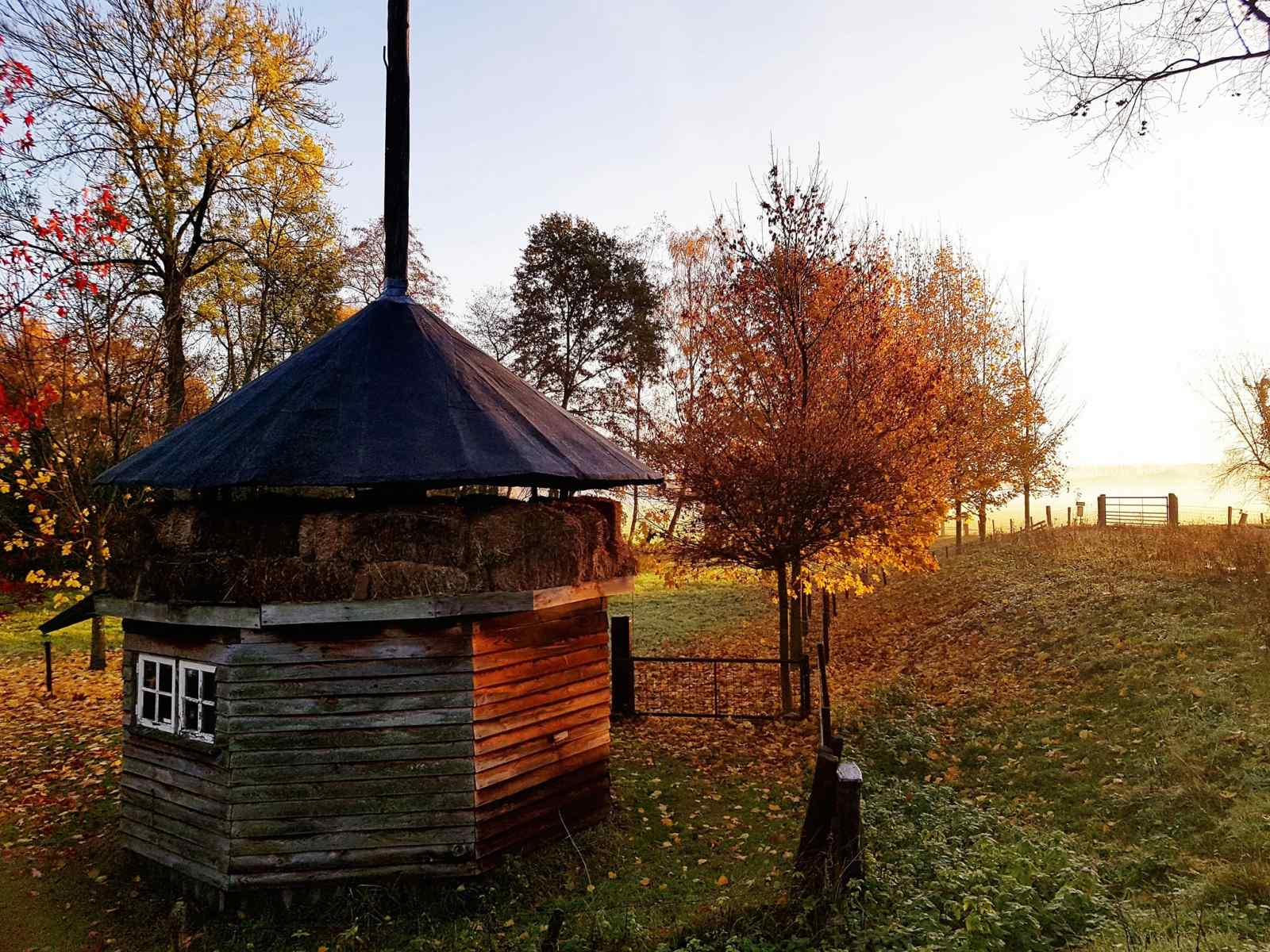 sfeervol-4-persoons-vakantiehuis-gelijkvloers-met-ligbad-en-grote-tuin-in-aalten