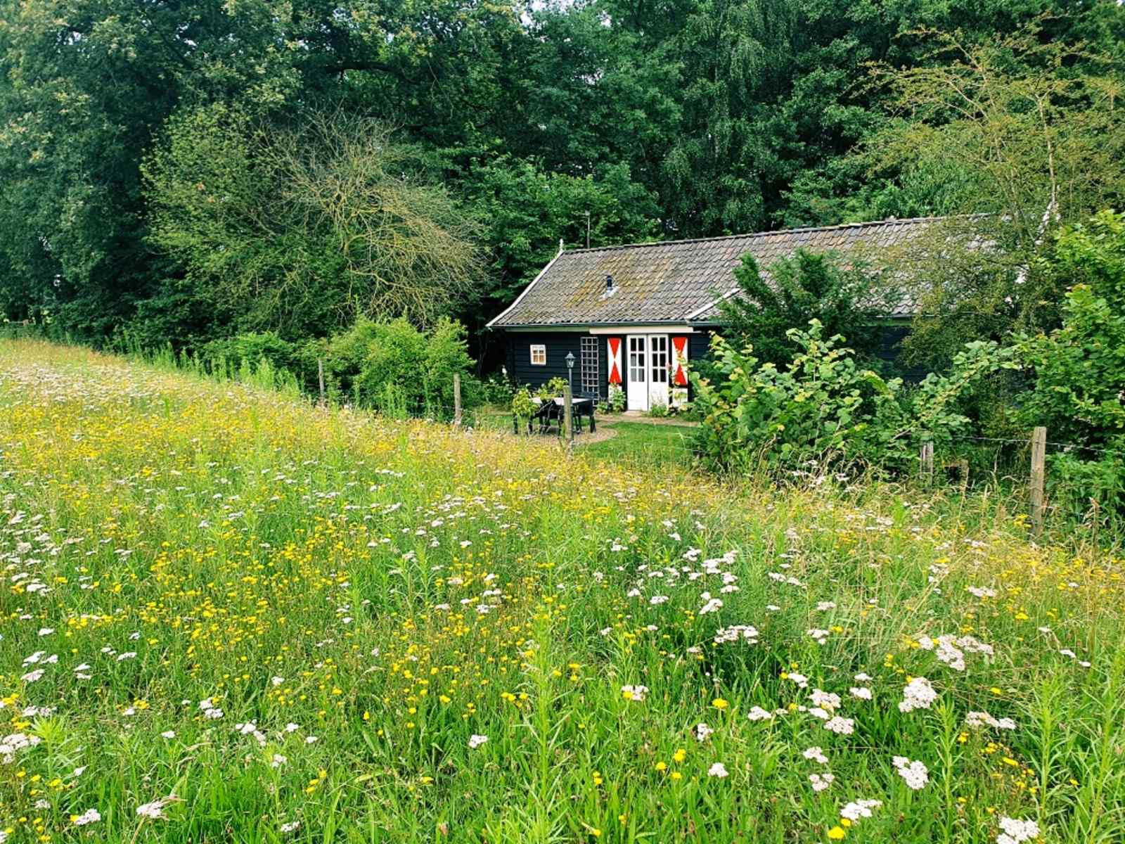 sfeervol-4-persoons-vakantiehuis-gelijkvloers-met-ligbad-en-grote-tuin-in-aalten