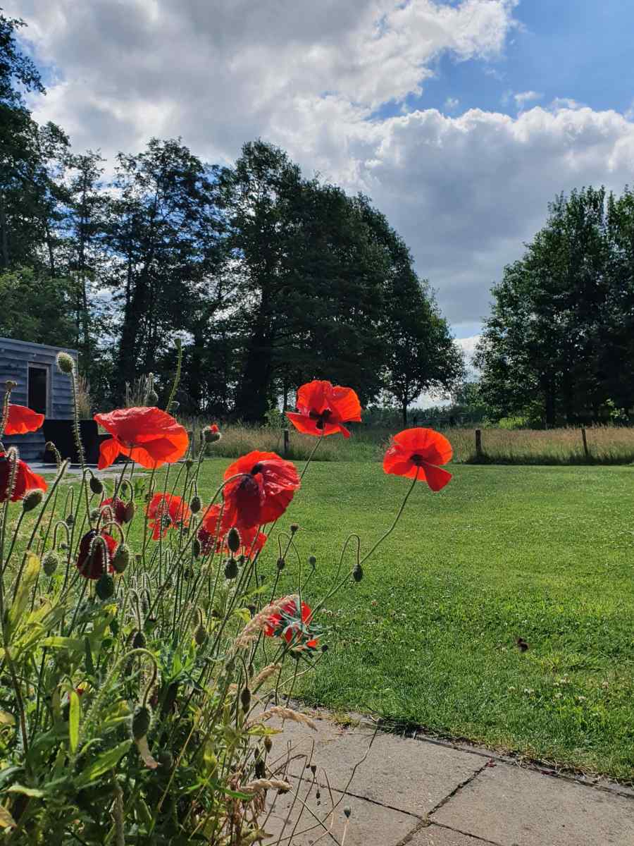 sfeervol-4-persoons-vakantiehuis-gelijkvloers-met-ligbad-en-grote-tuin-in-aalten