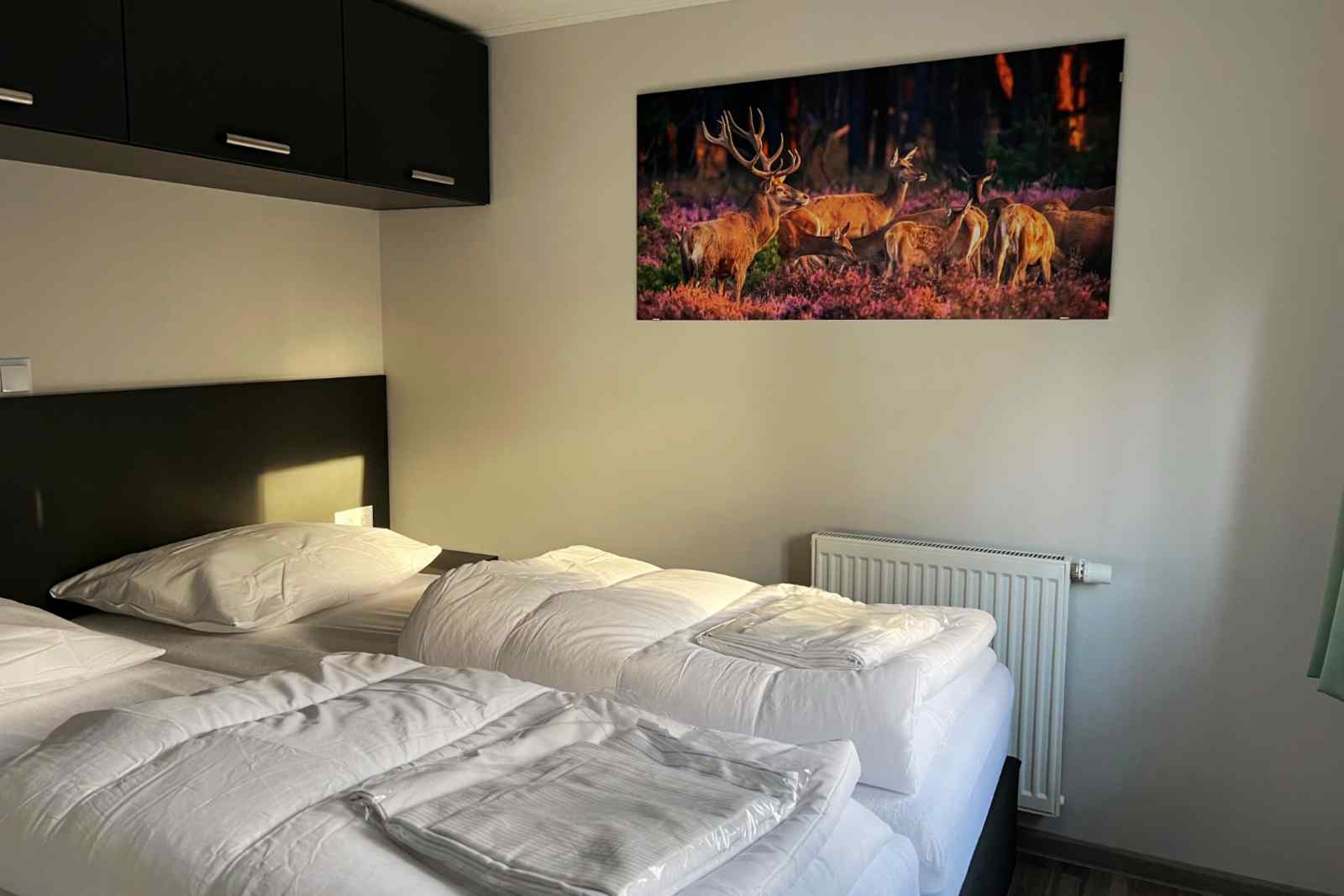 tiny-house-voor-4-personen-op-vakantiepark-de-rimboe-in-hoenderloo-op-de-veluwe