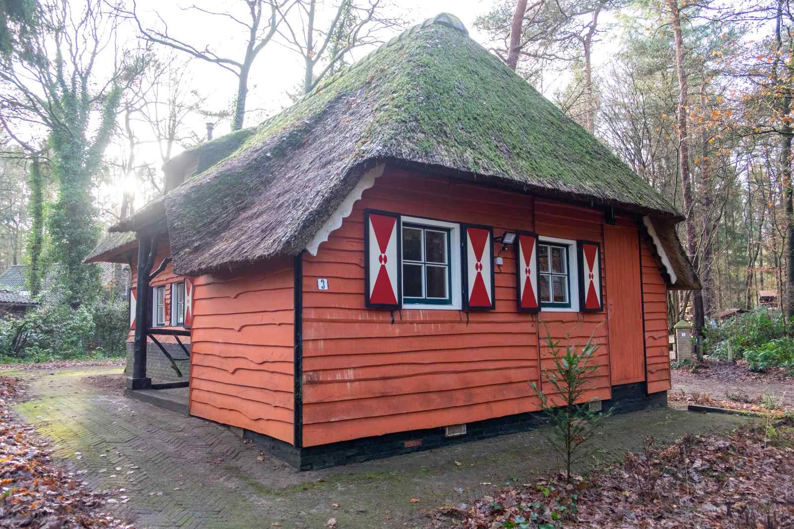 karakteristiek-vrijstaand-5-persoons-vakantiehuis-bosrijk-gelegen-nabij-norg-in-drenthe